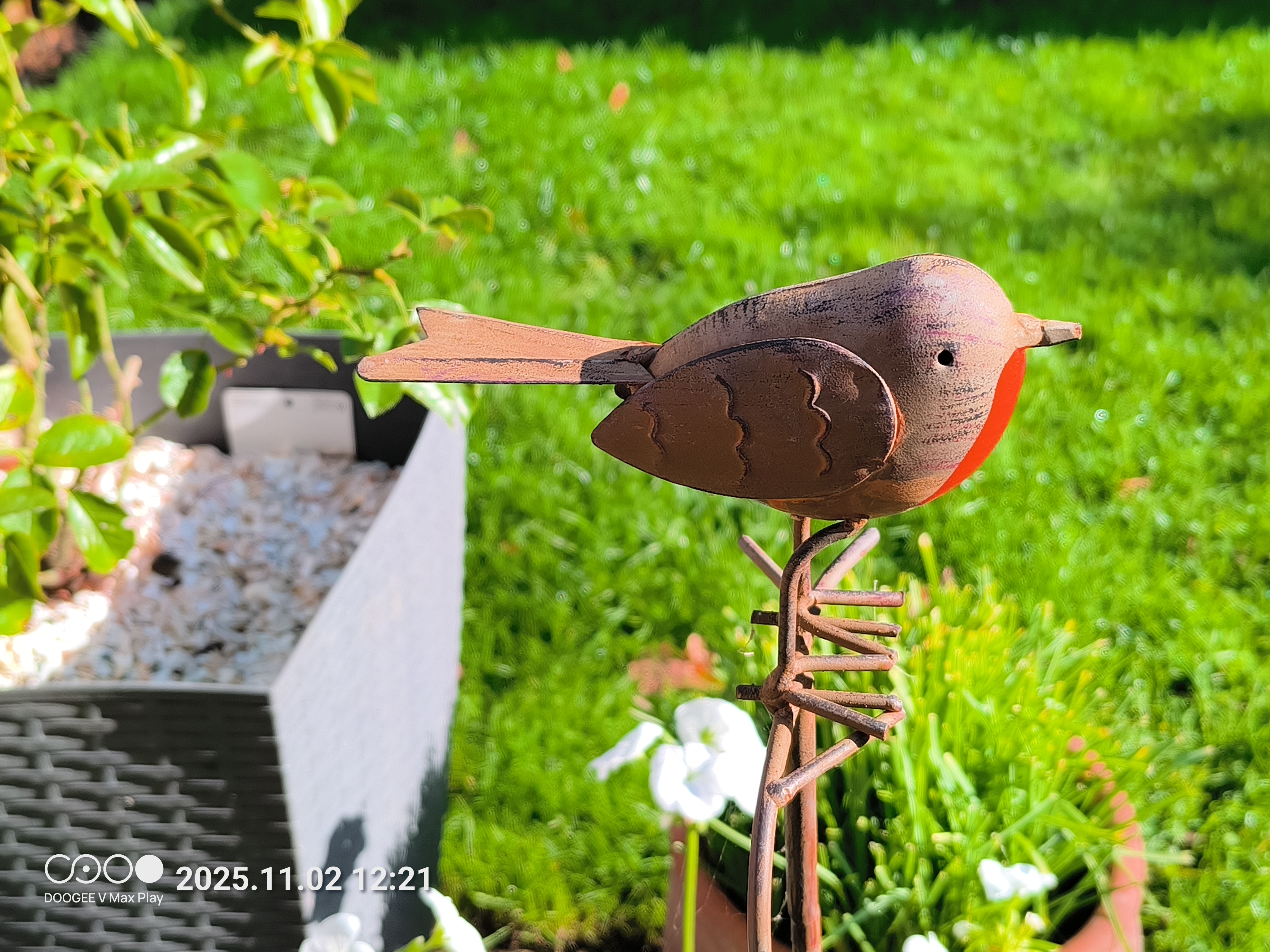 Doogee V Max Play Example images