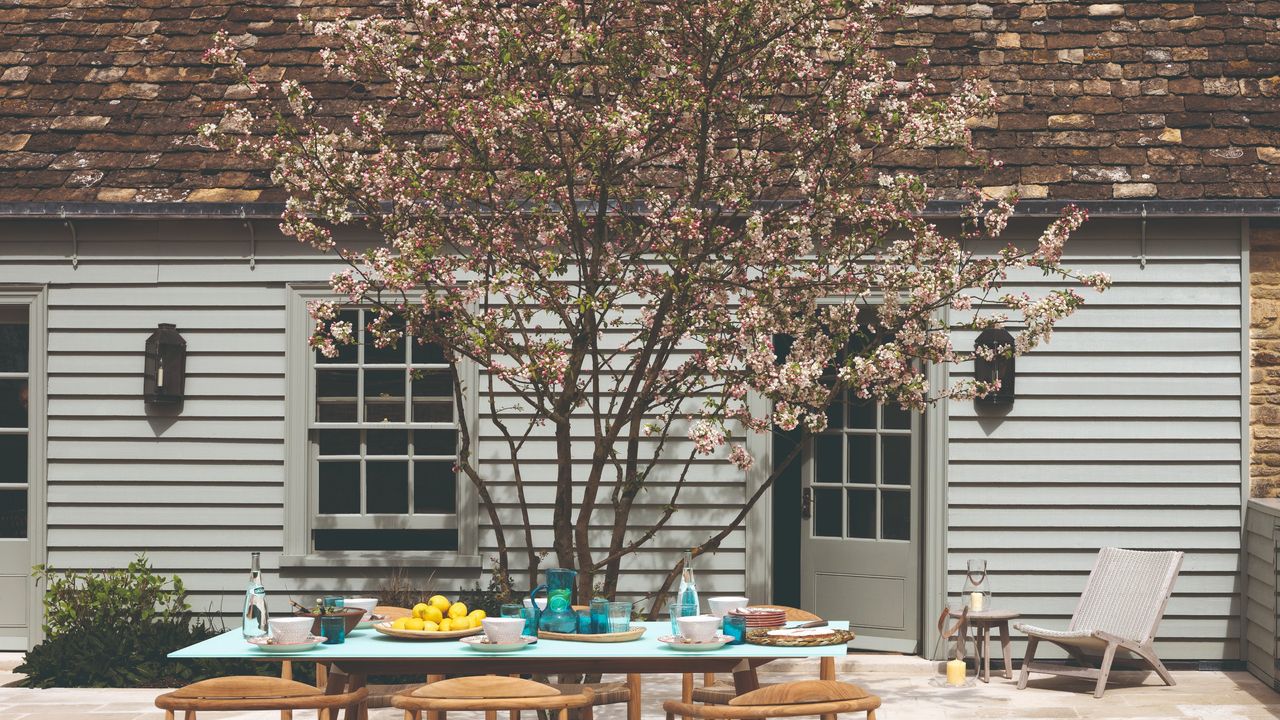 A cherry blossom tree on a patio with an outdoor kitchen and dining table