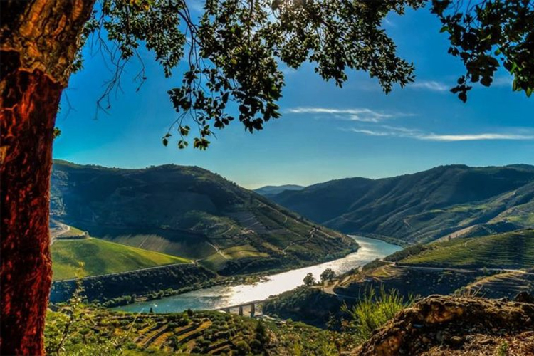 The-Bai%C3%A3o-region.-Credit-Douro-World-Heritage.jpg