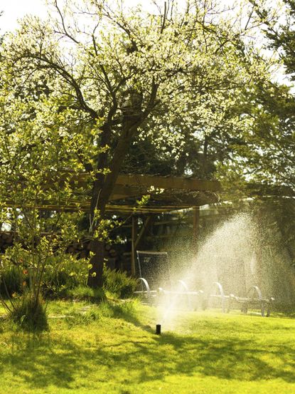 Sprinkler Watering Green Grass