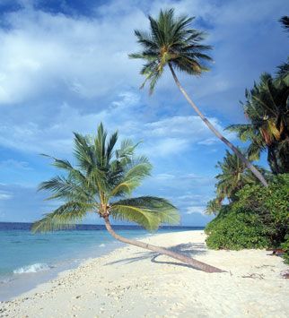Maldives - Winter Sun - Travel - Marie Claire