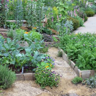 Plot of vegetable beds at RHS Chelsea Flower Show filled with greenery and edged in stones