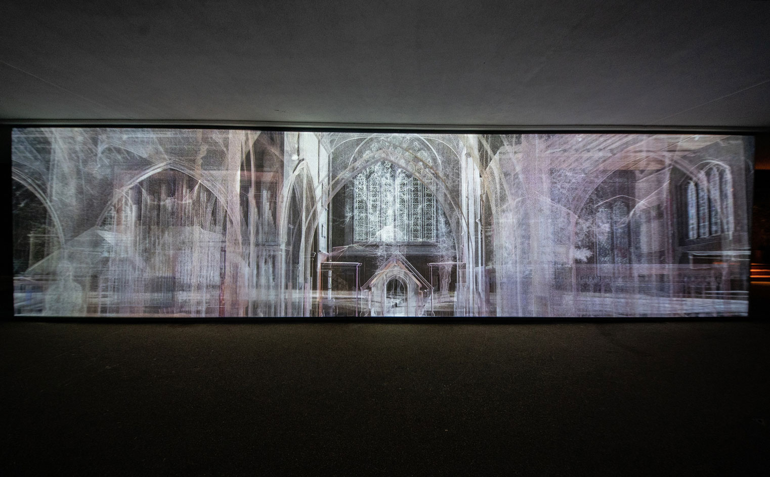 Echolocation Installation view