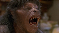 An American Werewolf in London