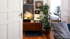Light in a living room with plant and wall art