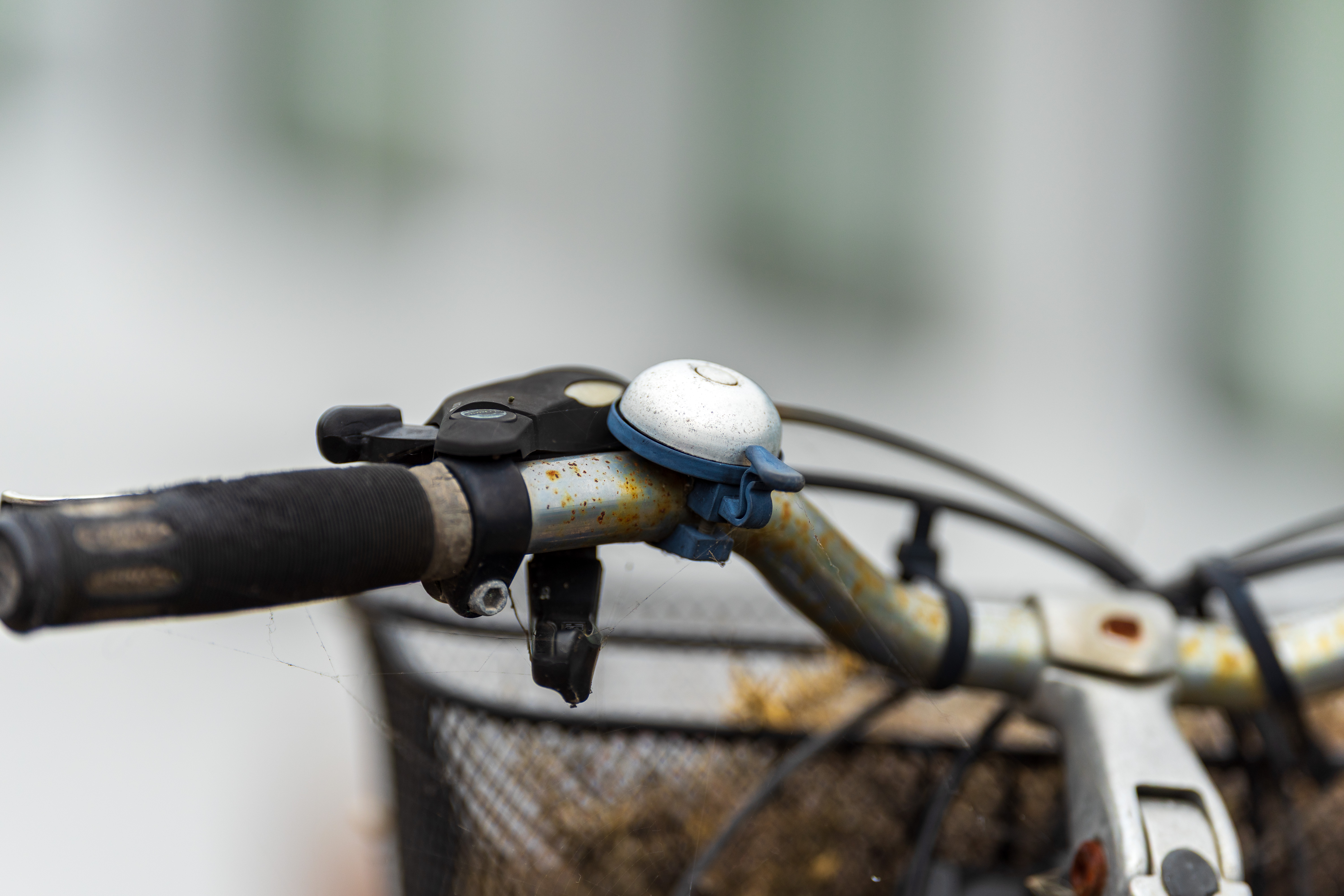 Sigma 200mm f/2 DG OS Sports example shot