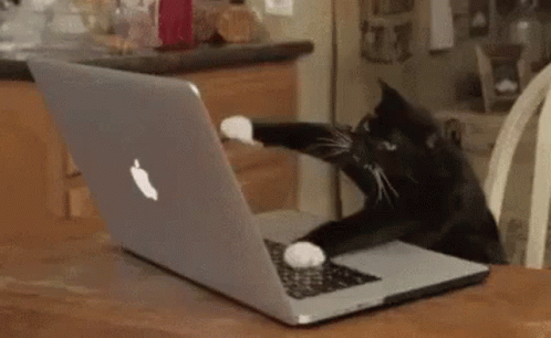 A gif of a cat typing on a laptop