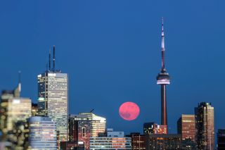 Fabulous early night in Toronto downtown with the full moon of June seen between the city towers. The full moon of June is called Strawberry Moon due to strawberry season, not its color. However in this instance the full moon was rising on a beautiful young blue hour right after sunset and hence had the most delicious scarlet-pinkish tone plus looked more elliptic and huge due to the optical illusion.