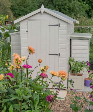 cream colored shed with flowers