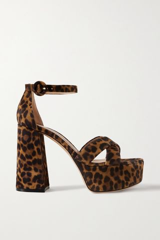 Sheridan 110 Leopard-Print Velvet Platform Sandals