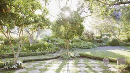 Landscaped garden