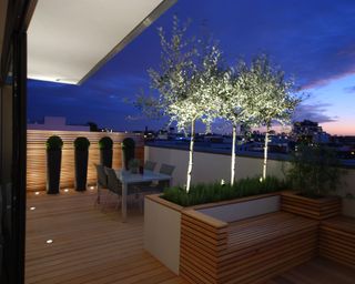 rooftop garden with lighting
