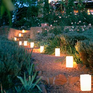 garden path decorated with lantern light
