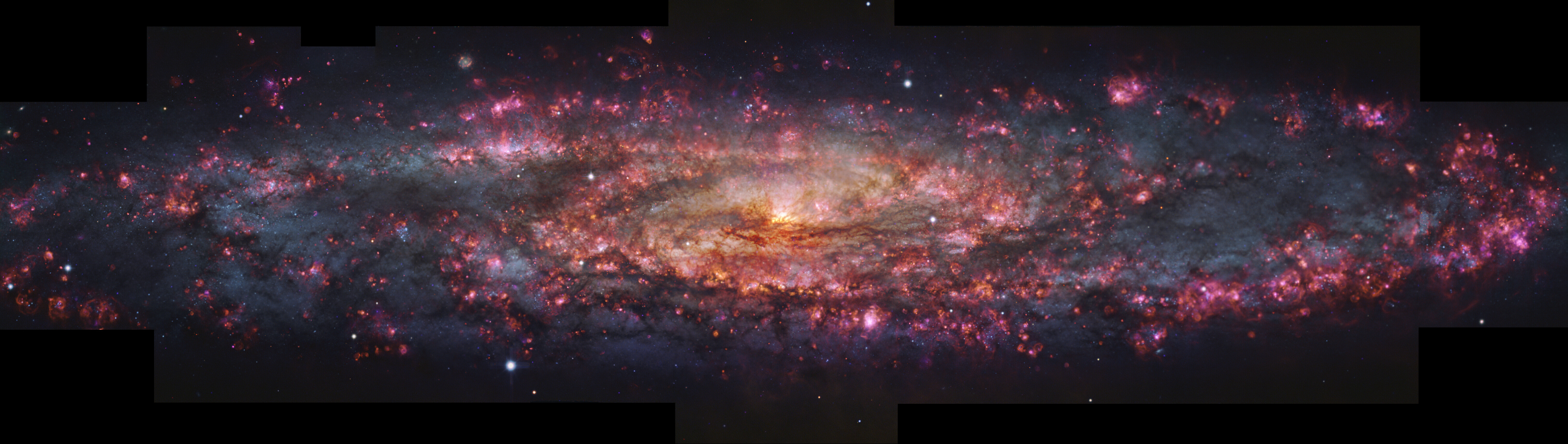 A bright purple and yellow swirl against a black background