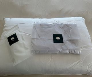 Cozy Earth Silk Pillow against Shleep bedding.