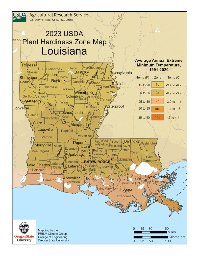 Tips & Information about USDA Planting Zones - Page 2 | Gardening Know How