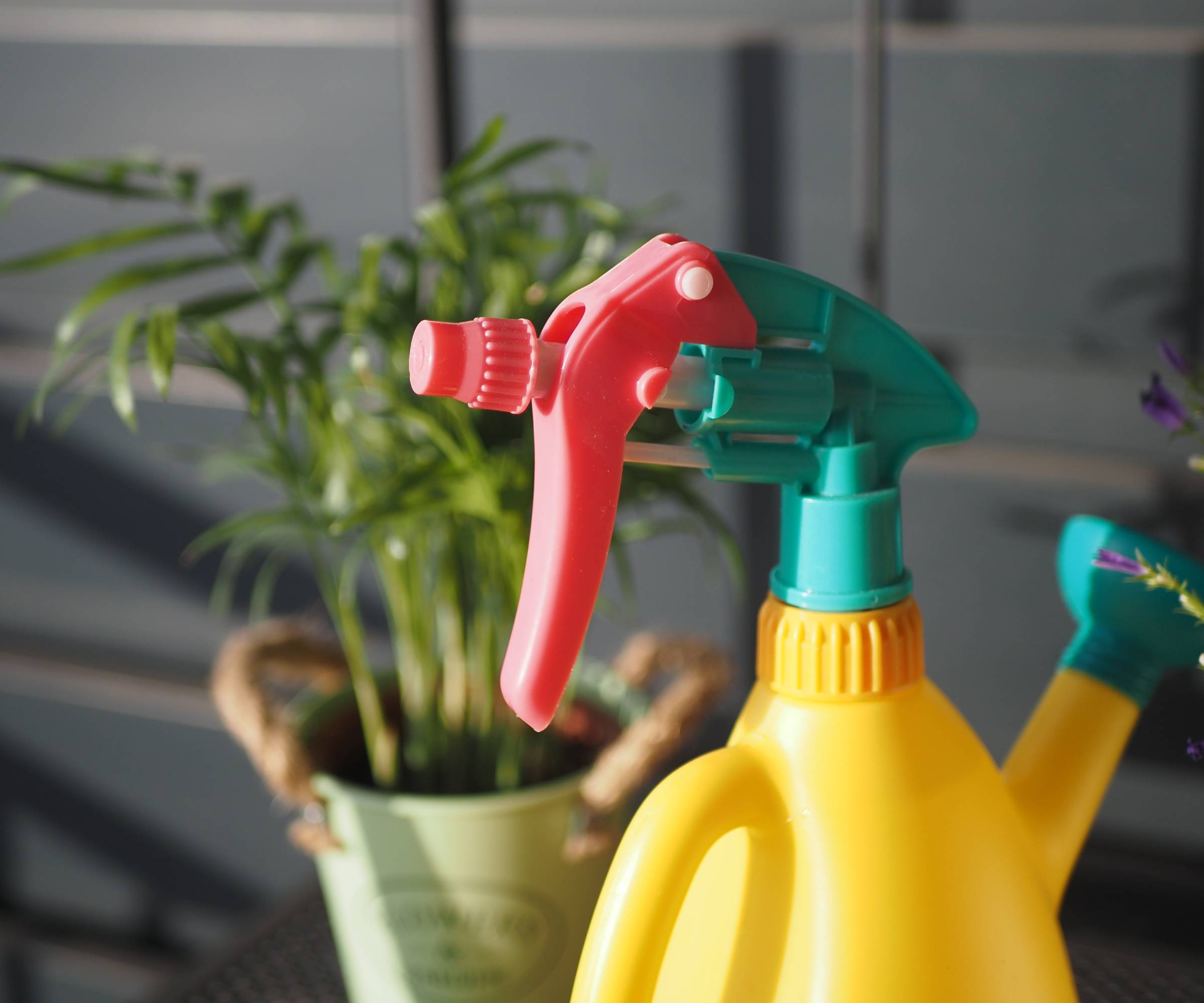 Yellow green and red spray bottle in front of a houseplant