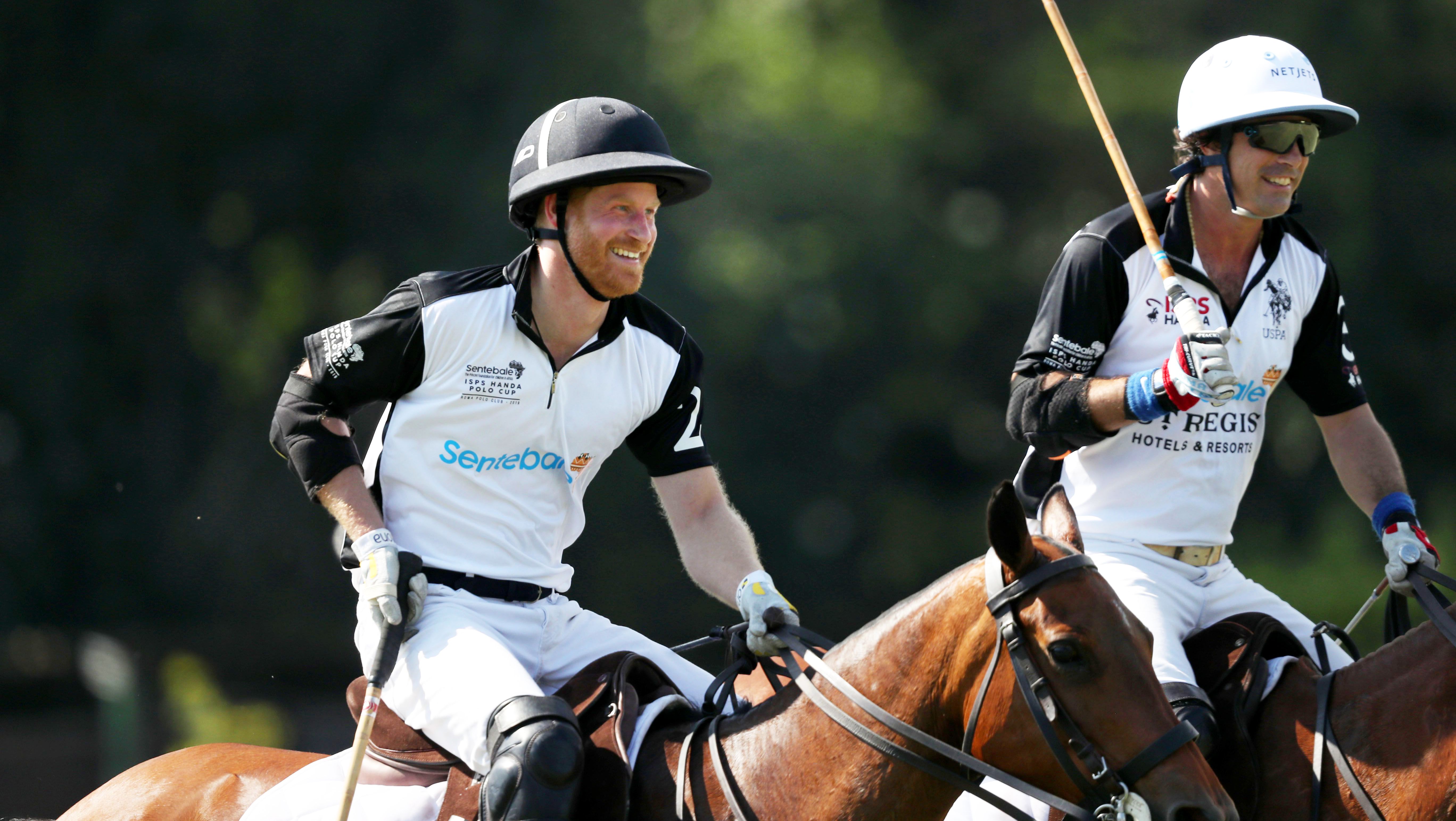 Horse, Bridle, Rein, Animal sports, Horse tack, Polo, Stick and Ball Sports, Sports, Outdoor recreation, Stick and Ball Games,