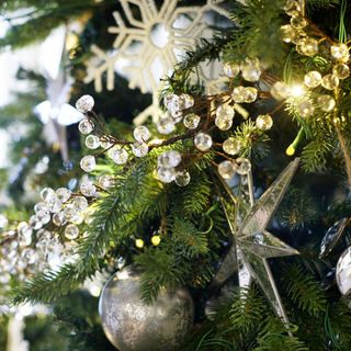 Beaded String Lights on a tree. 