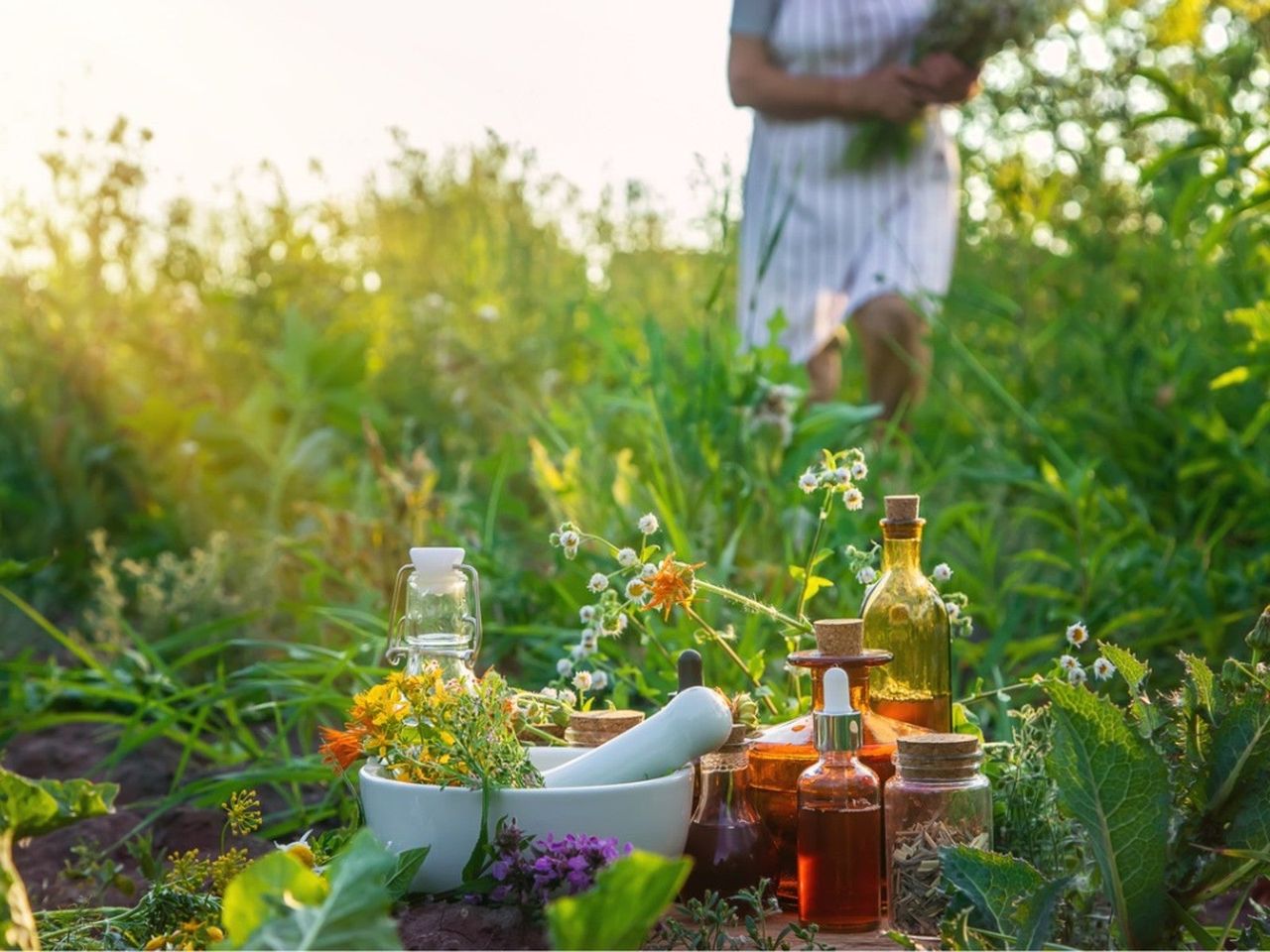 Several jars and a mortar and pestle in a garden