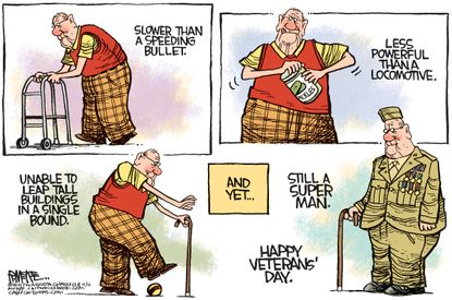 Editorial cartoon U.S. Veterans Day