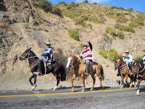 Chilean Caballeros