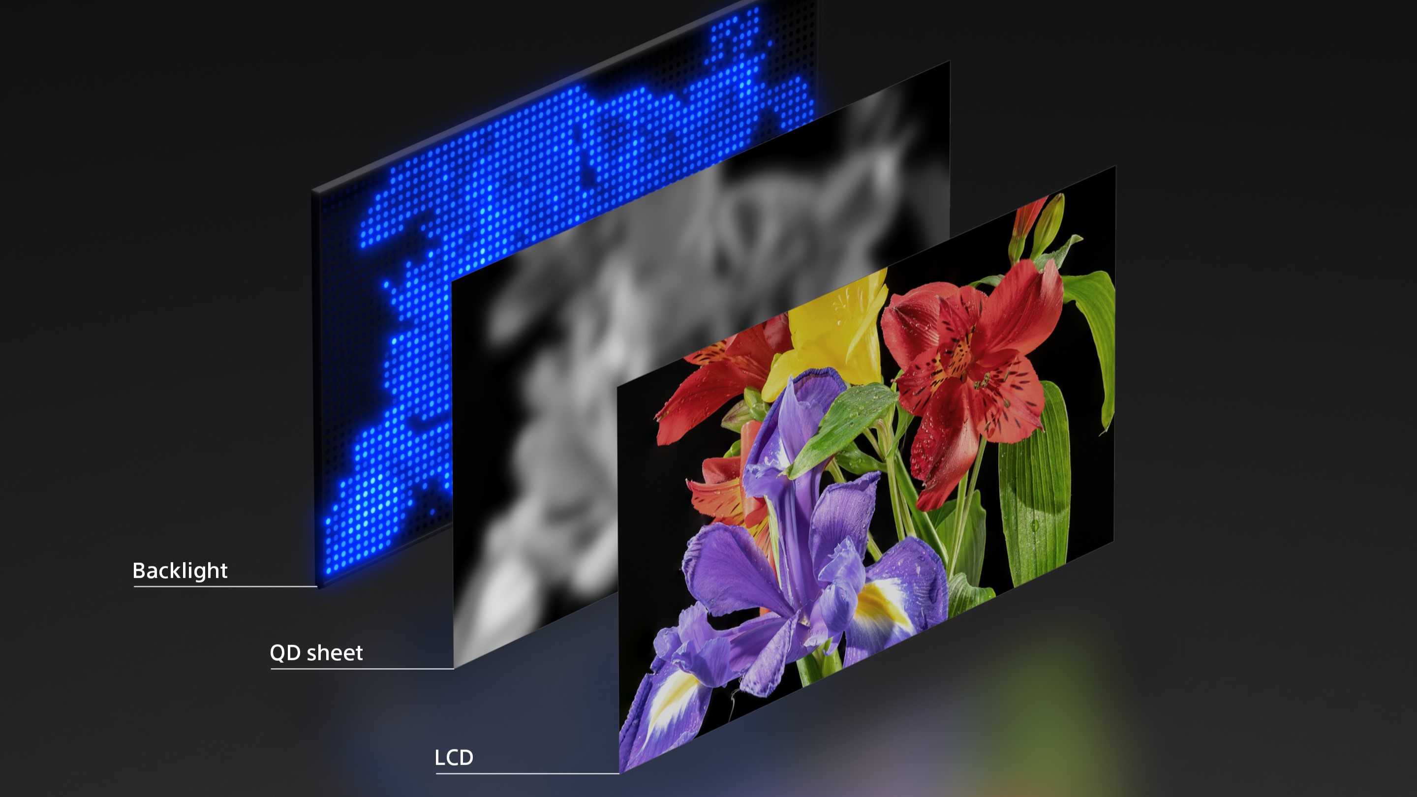 cutaway visualization of a QLED LCD display panel