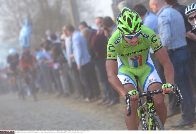 Peter Sagan (Cannondale)