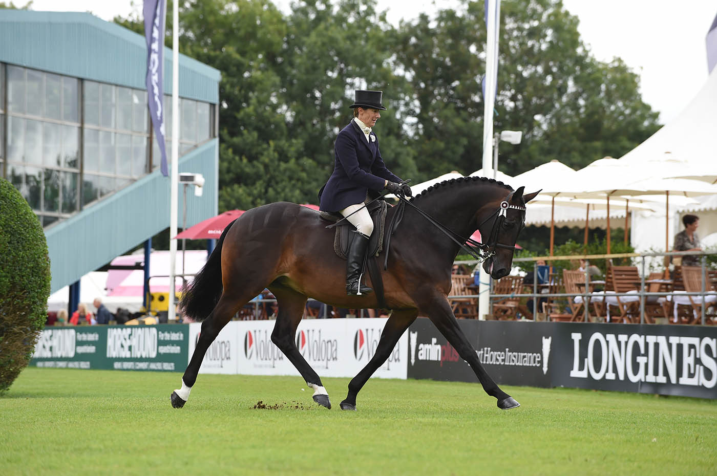 Royal International Horse Show, 29 07 2016THE SUPREME AMATEUR RIDING HORSE