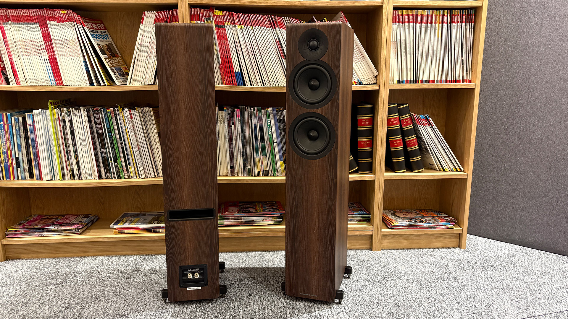Acoustic Energy AE309 Mk2 floorstanding speakers