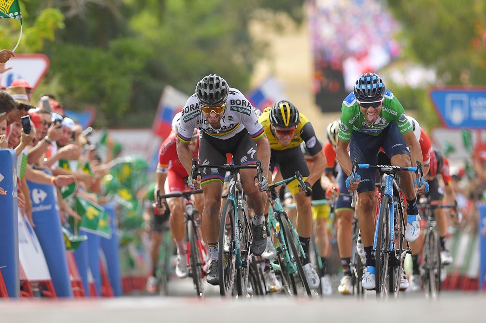 Alejandro Valverde wins stage 8 at the Vuelta a Espana ahead of Peter Sagan