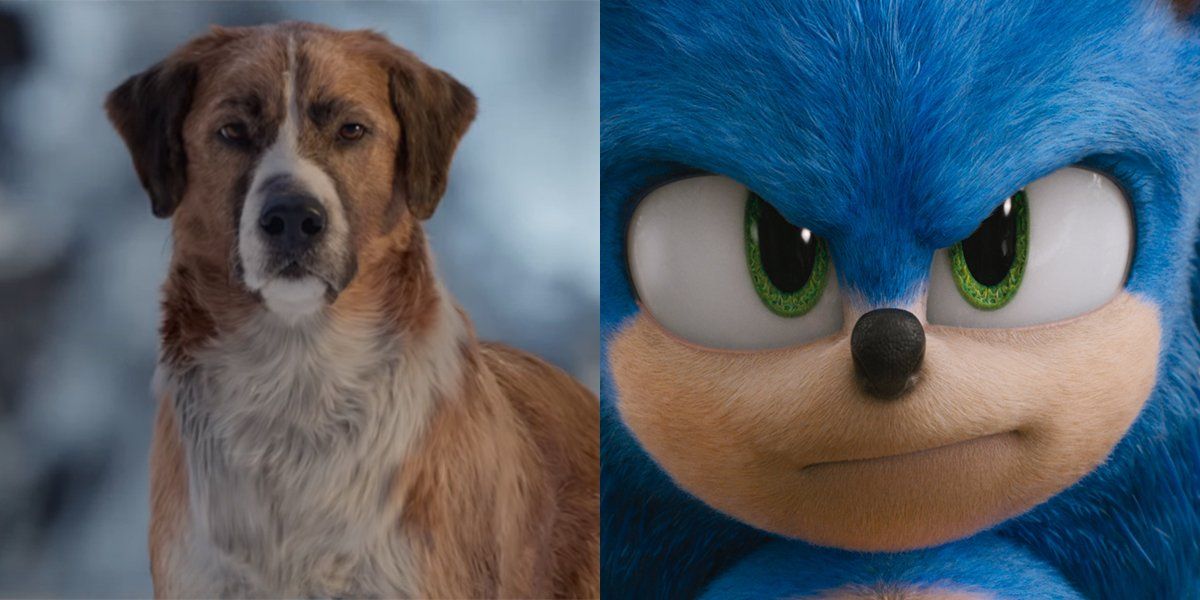 Sonic The Hedgehog 2,' 'Fantastic Beasts' Battle At U.K. Box Office