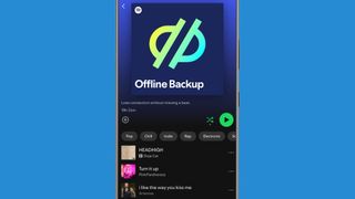 Screenshot of Spotify Offline Backup playlist