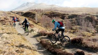 Mountain bikers on trail