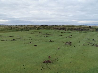 Top 100 Course Western Gailes Has Multiple Greens Vandalised