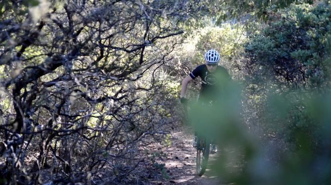 A Whole Athlete-Specialized on the trail