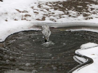 Garden Pond Surrounded By Snow