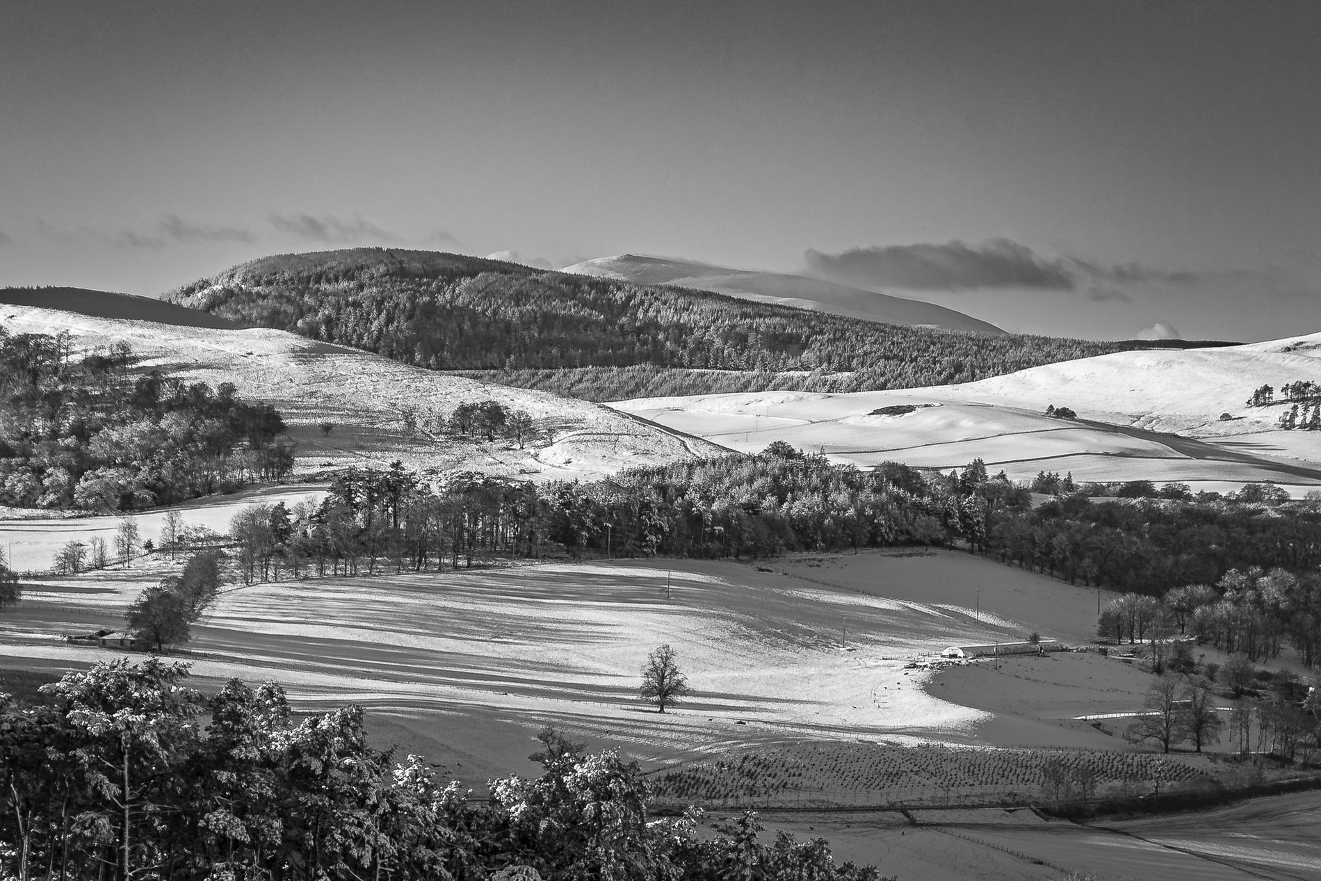 GuruShots - Nature March 2026