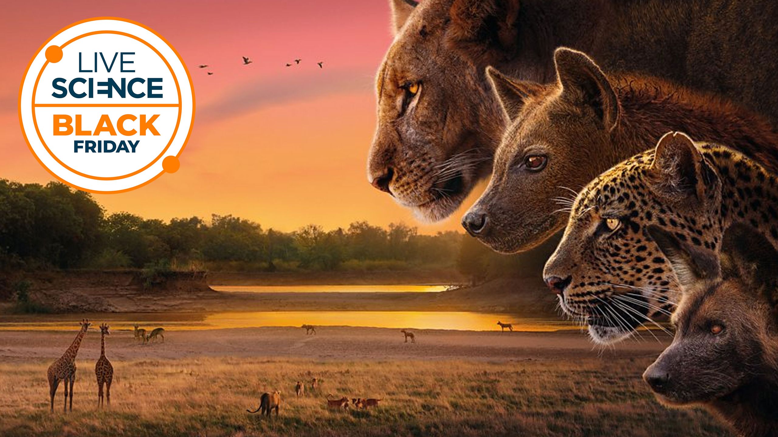 Best streaming deals to watch nature documentaries ahead of Black Friday 2025 Best streaming deals to watch nature documentaries ahead of Black Friday 2025