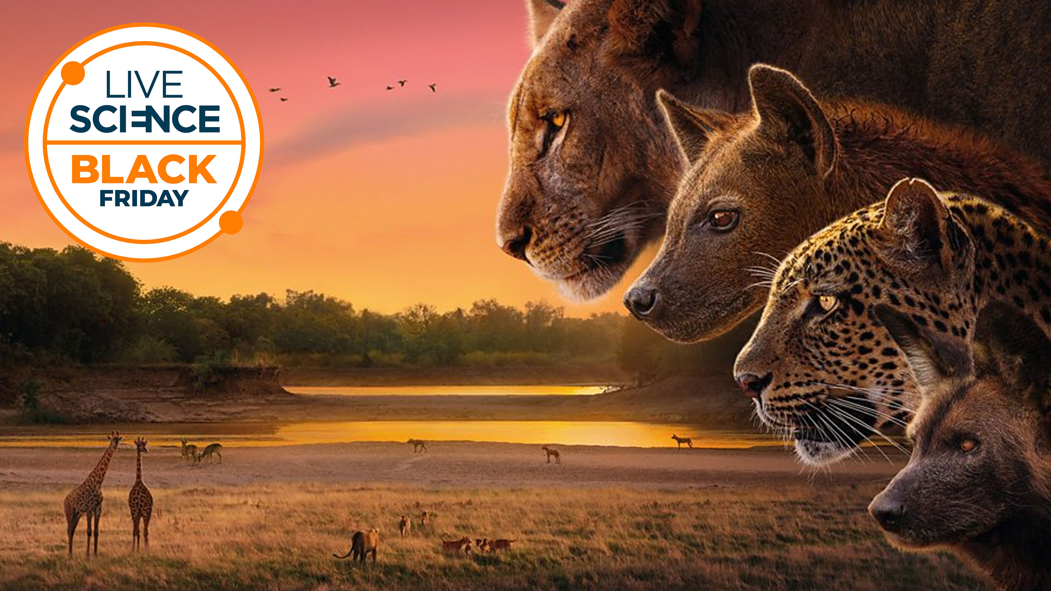 David Attenborough's Kingdom TV show main promo image