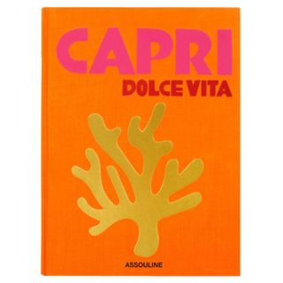 Assouline Capri Dolce Vita book christmas gifts for her