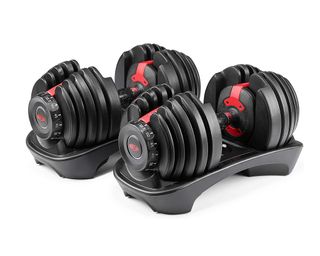 Best dumbbells: image of Bowflex adjustable weight set