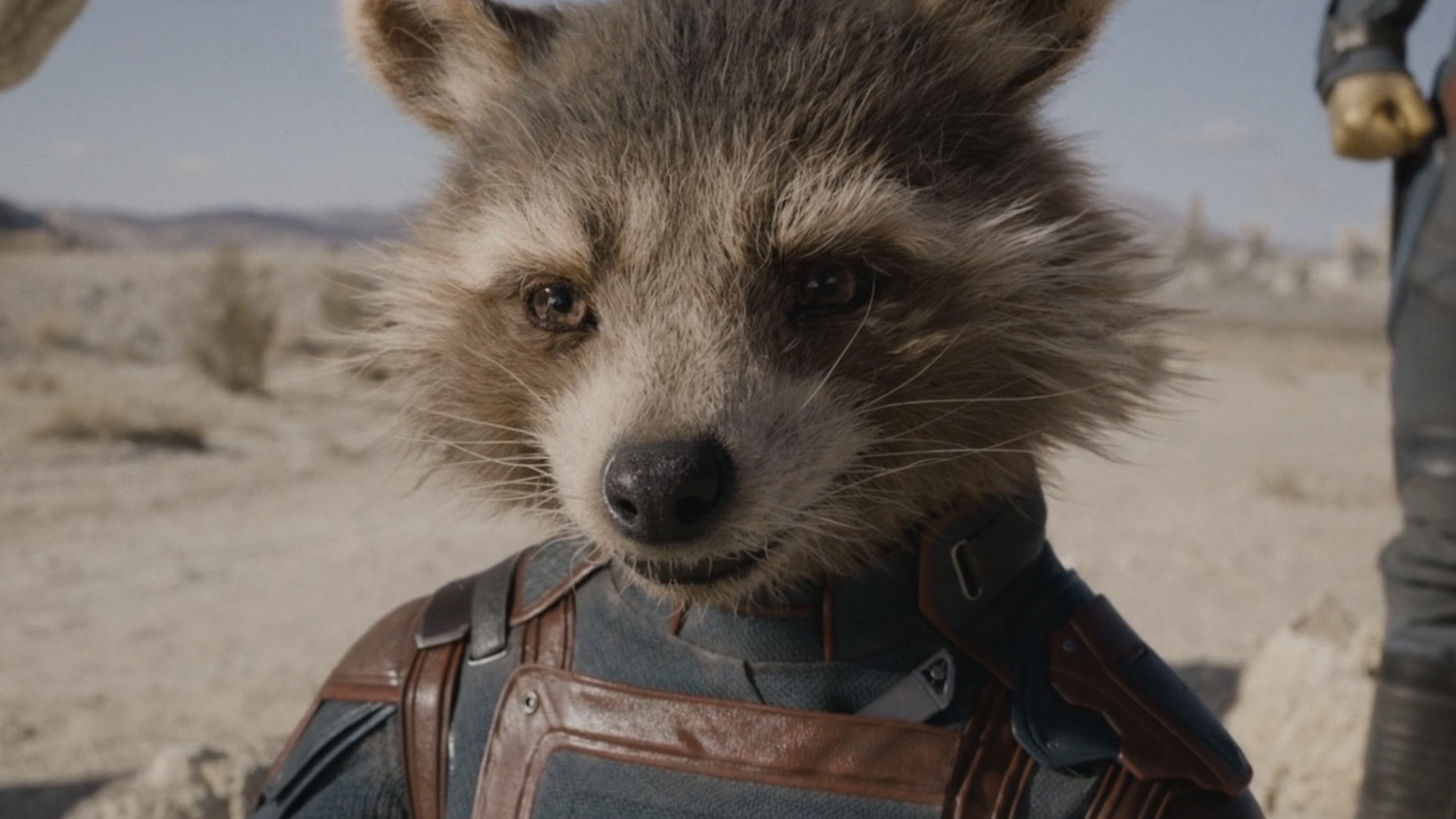 Rocket smiling in his Guardians uniform at the end of Vol. 3 before charging into battle. 