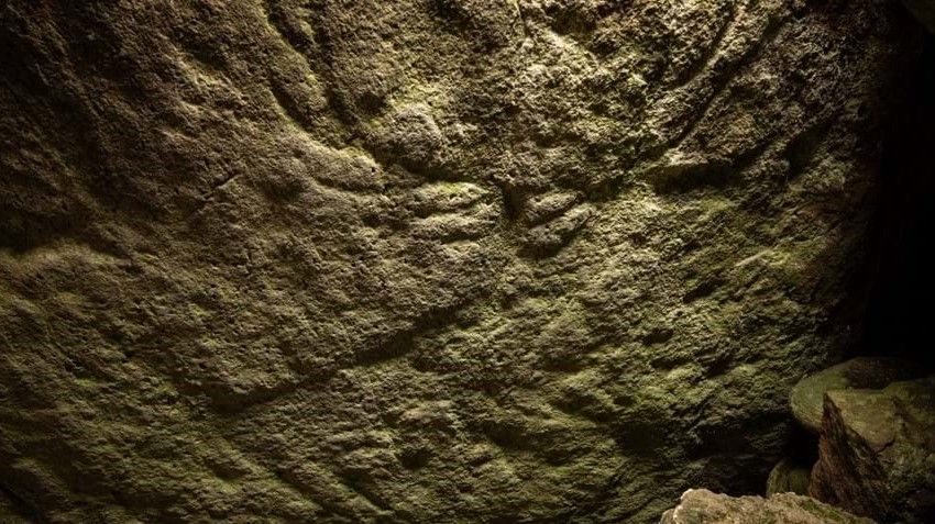 One of the two red deer stags carved into the underside of the capstone covering the burial chamber in Dunchraigaig Cairn.