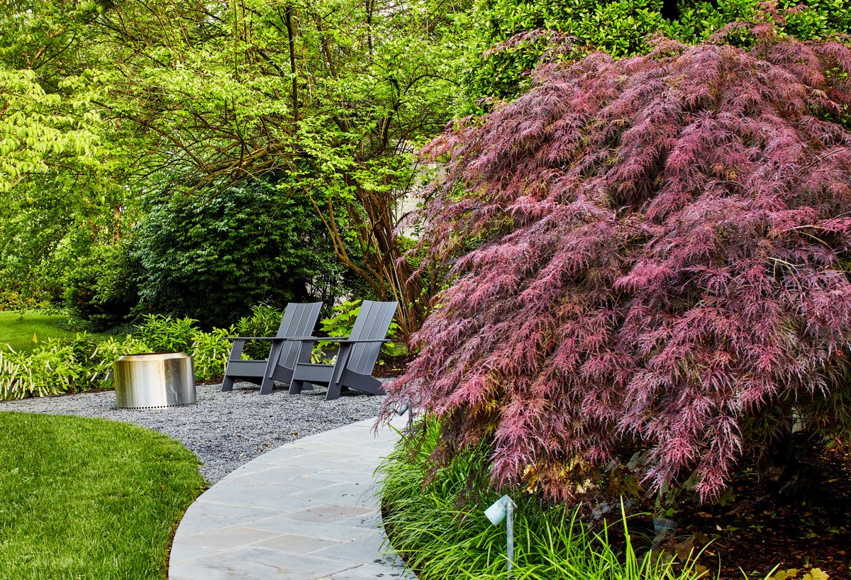 Les 6 meilleurs arbres qui changent de couleur au fil des saisons 