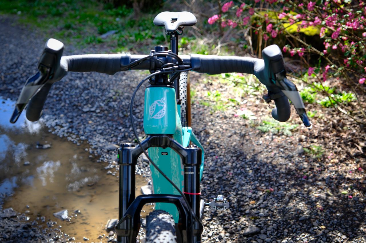Salsa Cycles' Wanderosa