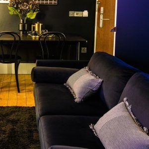 black velvet sofa with floor rug and cushion
