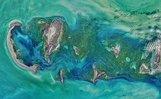 The beautiful, bright turquoise waters of the Caspian Sea surrounding the Tyuleniy Archipelago are captured in this photo, which was taken by the Operational Land Imager (OLI) on NASA's Landsat 8 satellite on April 16. Dark green sea grass and algae growi
