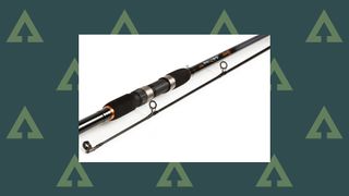 Buyer's guide: 12 Ft Pike Rods