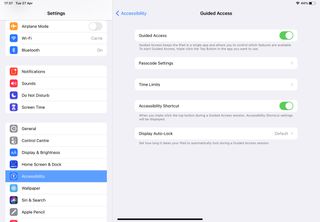 iPad accessibility settings